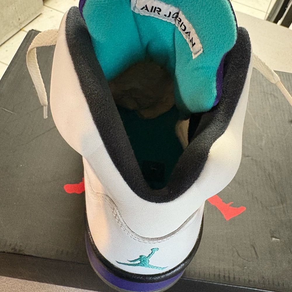 Jordan 5 Grape (2013) OBO